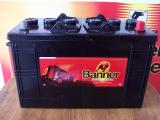 Autobaterie Banner Buffalo bull 12V 105Ah