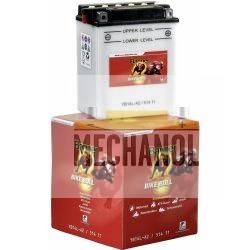 Motobaterie Banner 51915 / YB16HL-A-CX 12V 19Ah